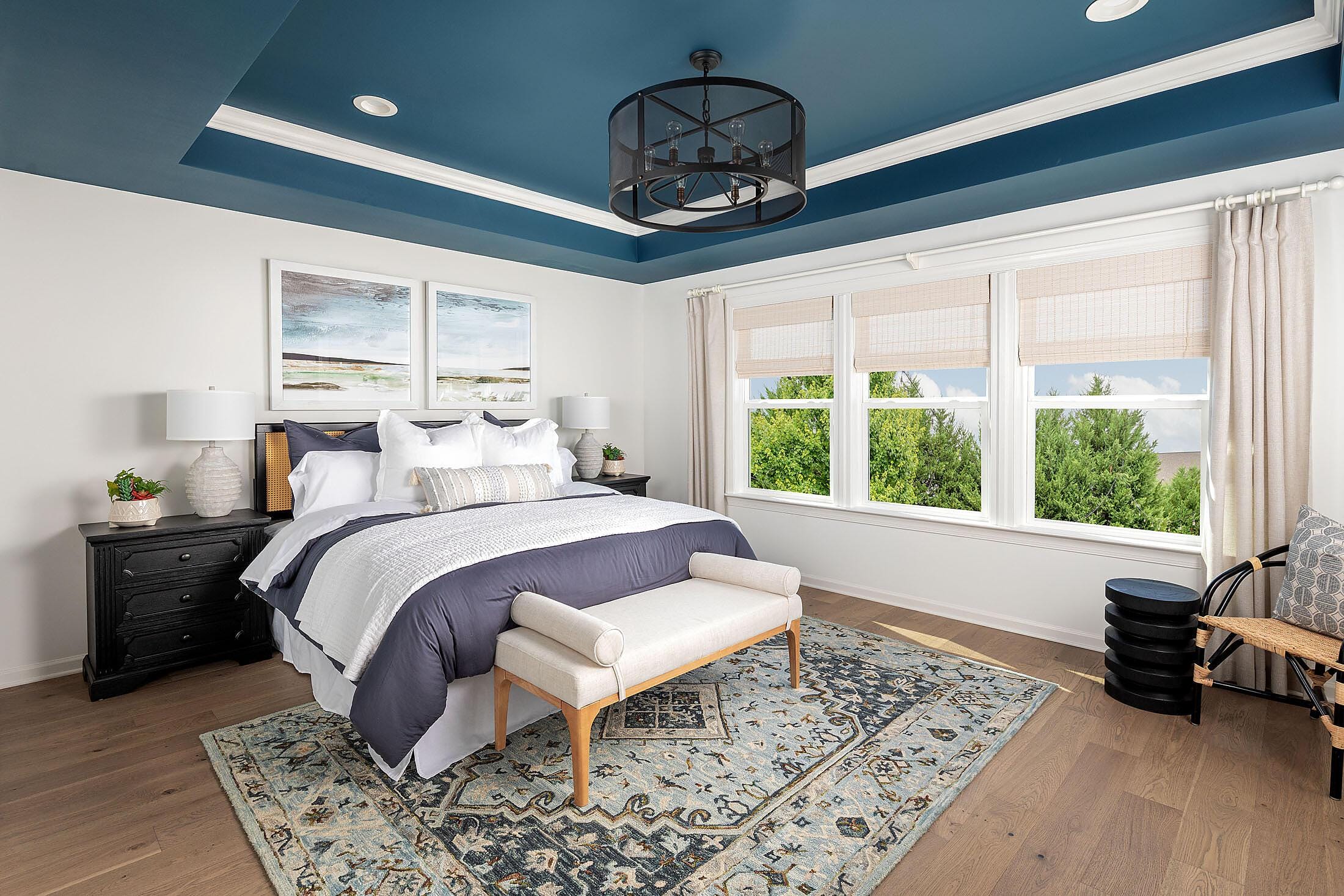 Premier Suite - Tray Ceiling option